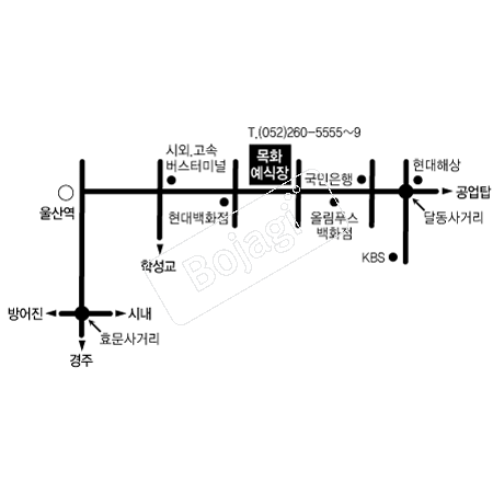  �൵ ���ڱ� ī�� ûø�� 