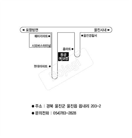 ���ÿ����� �൵ ���ڱ� ī�� ûø�� 