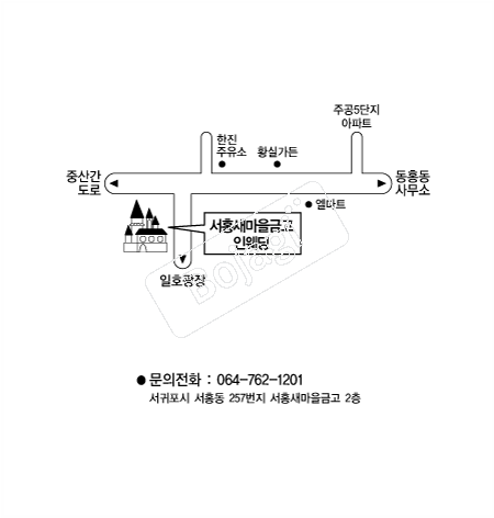  �൵ ���ڱ� ī�� ûø�� 