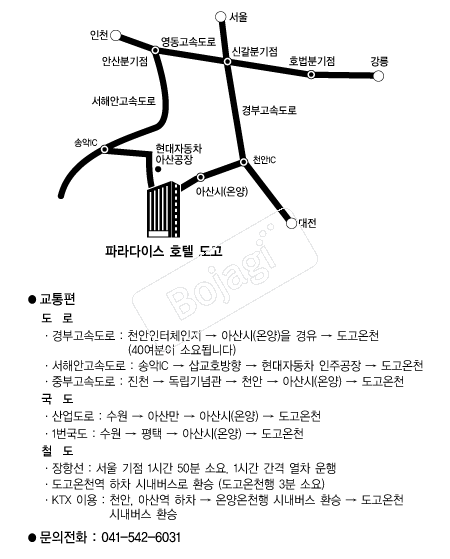 �����Ķ���̽�ȣ�� �൵ ���ڱ� ī�� ûø�� 