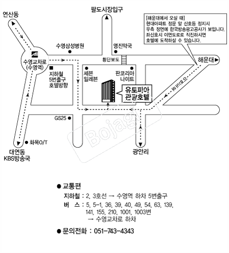  �൵ ���ڱ� ī�� ûø�� 