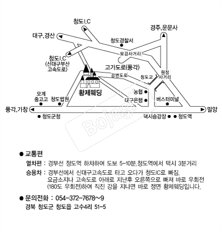 Ȳ������ �൵ ���ڱ� ī�� ûø�� 