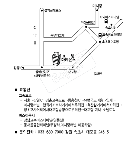 ������ȣ�� �൵ ���ڱ� ī�� ûø�� 