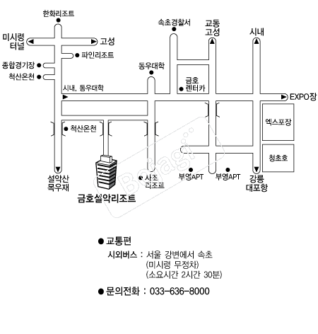  �൵ ���ڱ� ī�� ûø�� 