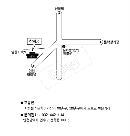  �൵ ���ڱ� ī�� ûø�� 