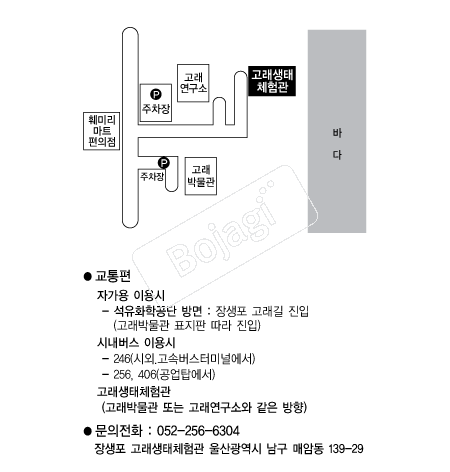  �൵ ���ڱ� ī�� ûø�� 