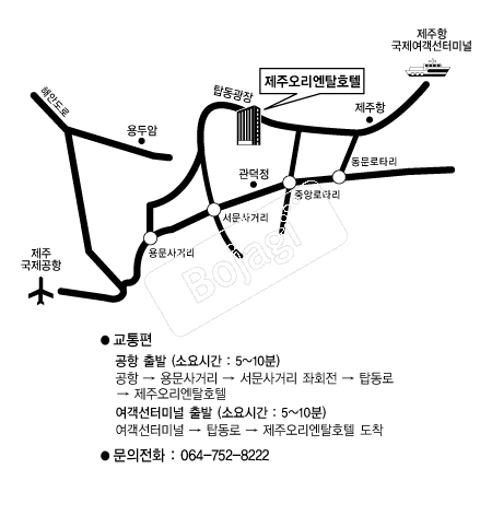  �൵ ���ڱ� ī�� ûø�� 