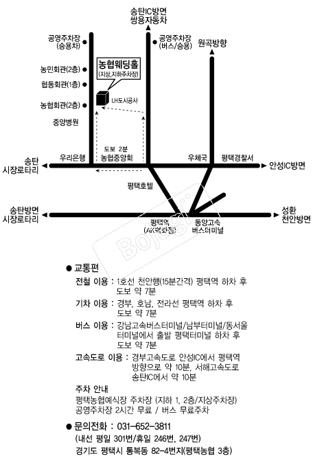 ���ó�������Ȧ �൵ ���ڱ� ī�� ûø�� 