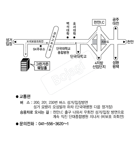 �׸����� �൵ ���ڱ� ī�� ûø�� 