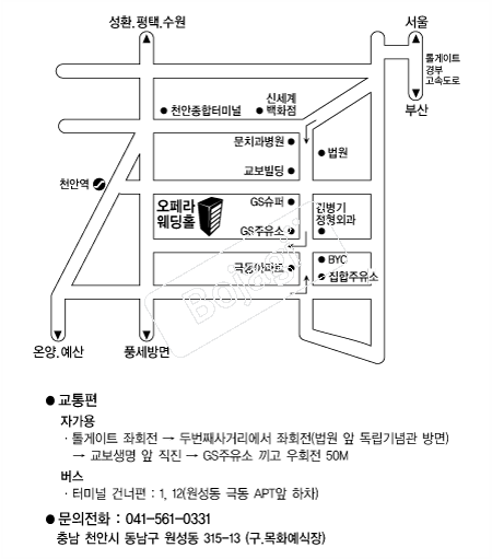 ��������Ȧ(õ��) �൵ ���ڱ� ī�� ûø�� 