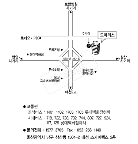  �൵ ���ڱ� ī�� ûø�� 