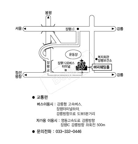 ���ǿ���Ȧ �൵ ���ڱ� ī�� ûø�� 