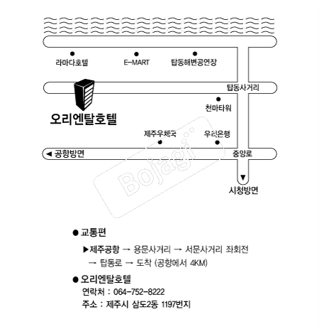 ���ֿ�����Żȣ�� �൵ ���ڱ� ī�� ûø�� 