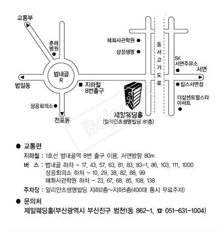 ���Ͽ���Ȧ �൵ ���ڱ� ī�� ûø�� 