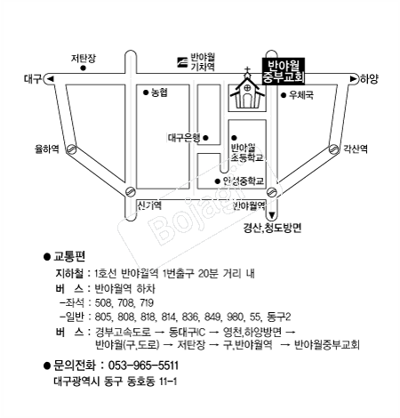  �൵ ���ڱ� ī�� ûø�� 