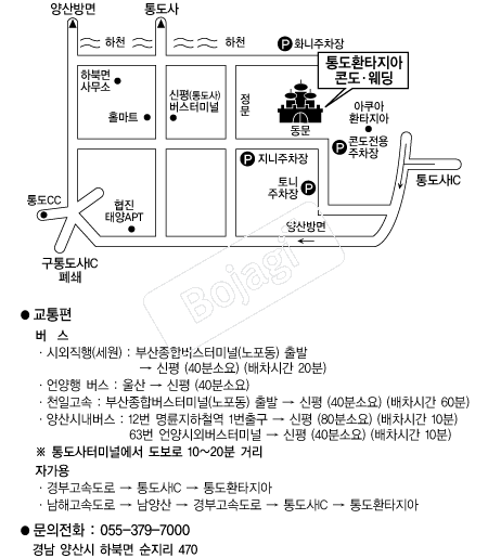  �൵ ���ڱ� ī�� ûø�� 