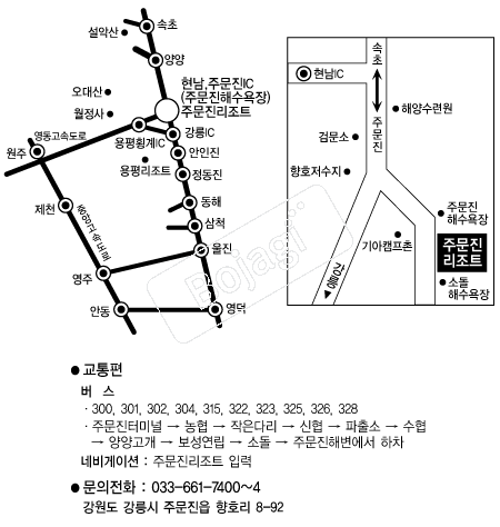 �ֹ�������Ʈ �൵ ���ڱ� ī�� ûø�� 