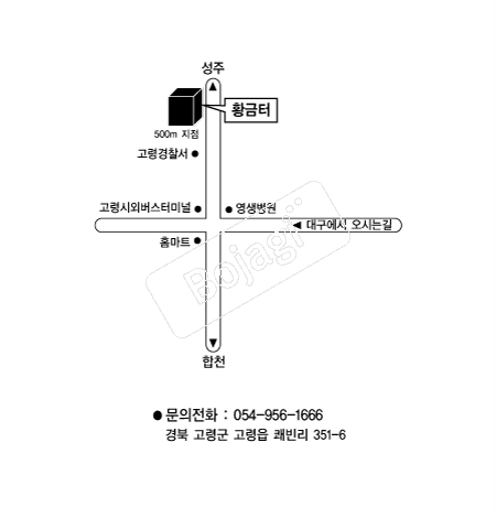  �൵ ���ڱ� ī�� ûø�� 