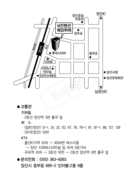  �൵ ���ڱ� ī�� ûø�� 