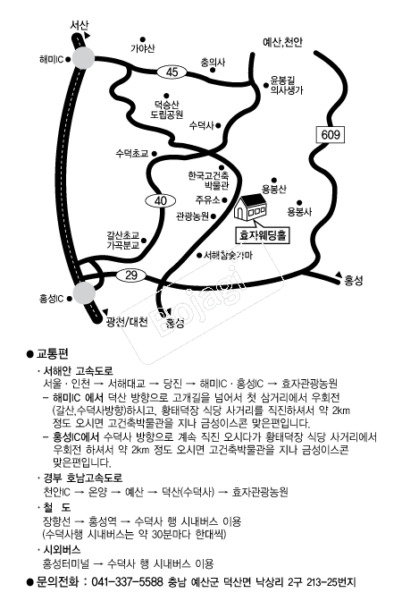 ȿ�ڿ���Ȧ �൵ ���ڱ� ī�� ûø�� 