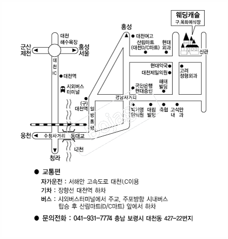 ����ĳ��(����) �൵ ���ڱ� ī�� ûø�� 