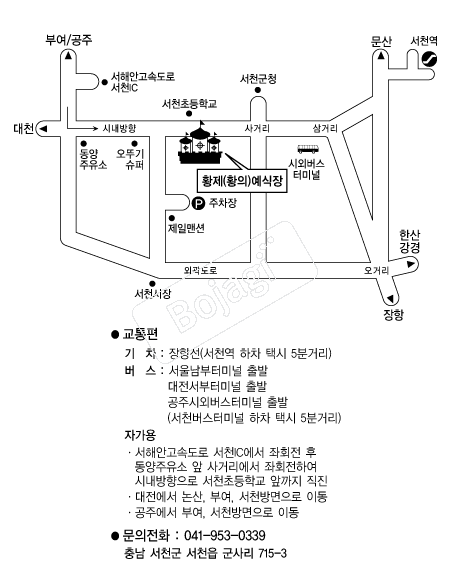 Ȳ�������� �൵ ���ڱ� ī�� ûø�� 