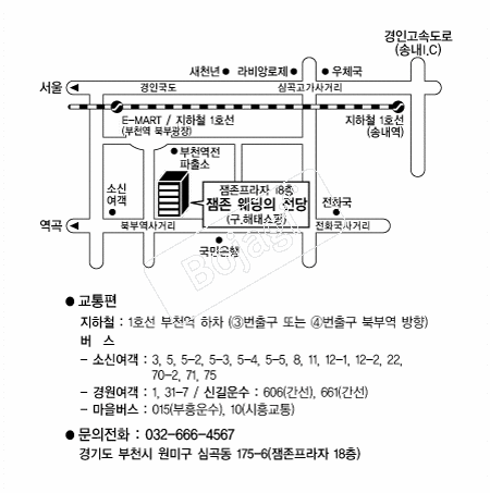 �������������� �൵ ���ڱ� ī�� ûø�� 