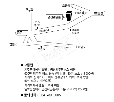  �൵ ���ڱ� ī�� ûø�� 