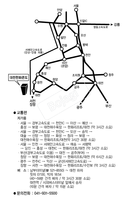 ��õ��ȭ�ܵ� �൵ ���ڱ� ī�� ûø�� 