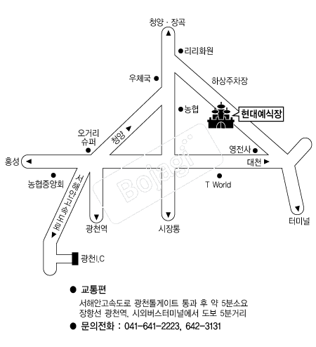  �൵ ���ڱ� ī�� ûø�� 