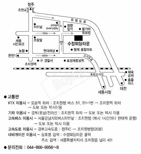 ��������Ÿ�� �൵ ���ڱ� ī�� ûø�� 