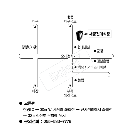  �൵ ���ڱ� ī�� ûø�� 