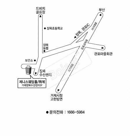  �൵ ���ڱ� ī�� ûø�� 