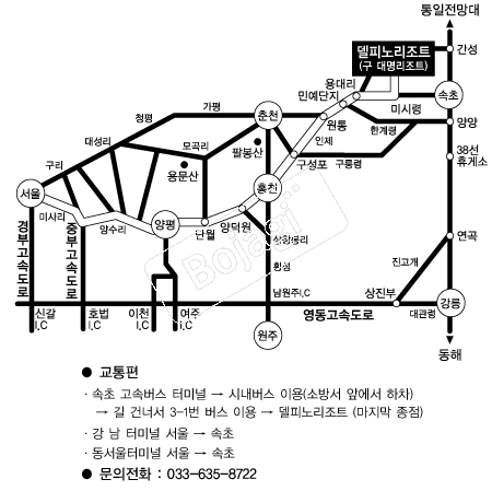  �൵ ���ڱ� ī�� ûø�� 