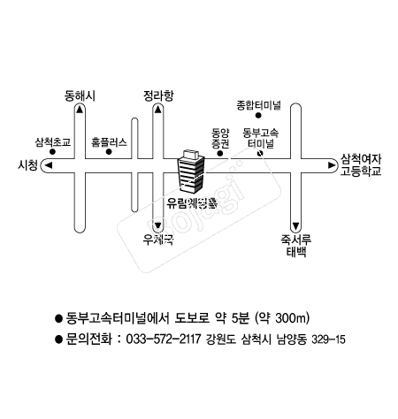 ���������� �൵ ���ڱ� ī�� ûø�� 