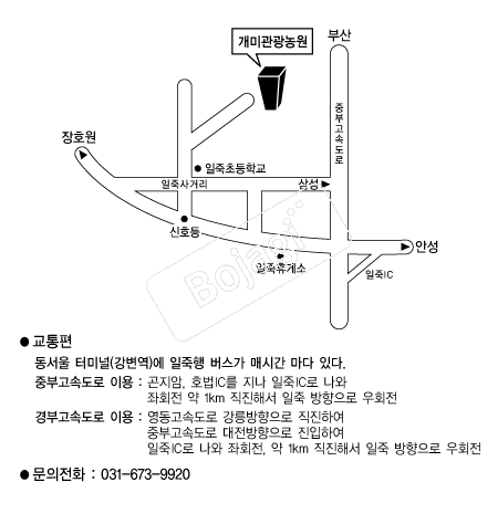  �൵ ���ڱ� ī�� ûø�� 