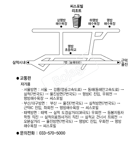  �൵ ���ڱ� ī�� ûø�� 