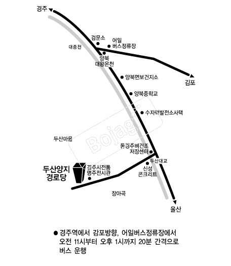  �൵ ���ڱ� ī�� ûø�� 