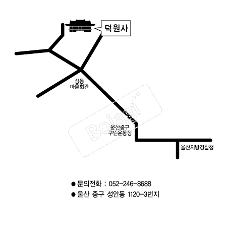  �൵ ���ڱ� ī�� ûø�� 