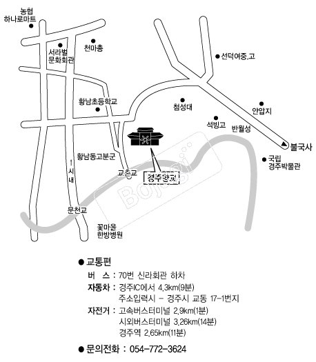  �൵ ���ڱ� ī�� ûø�� 