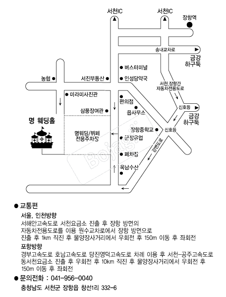 ������Ȧ �൵ ���ڱ� ī�� ûø�� 