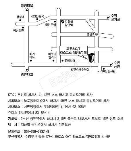 ���ڽ�����Ȧ �൵ ���ڱ� ī�� ûø�� 