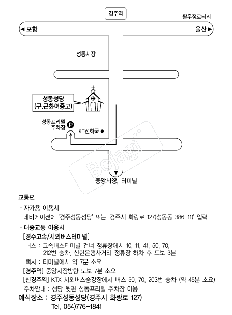  �൵ ���ڱ� ī�� ûø�� 