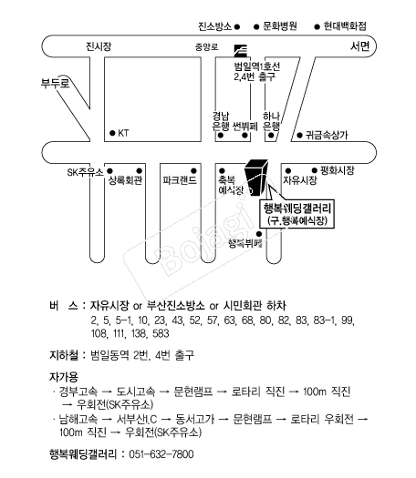 �ູ���������� �൵ ���ڱ� ī�� ûø�� 