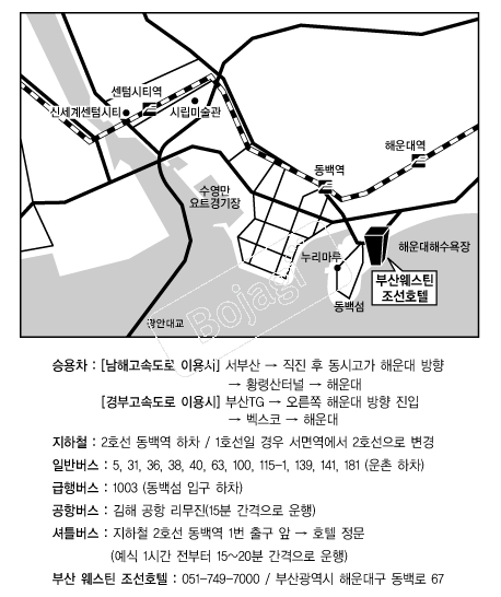 ����ƾ������ġȣ�� �൵ ���ڱ� ī�� ûø�� 