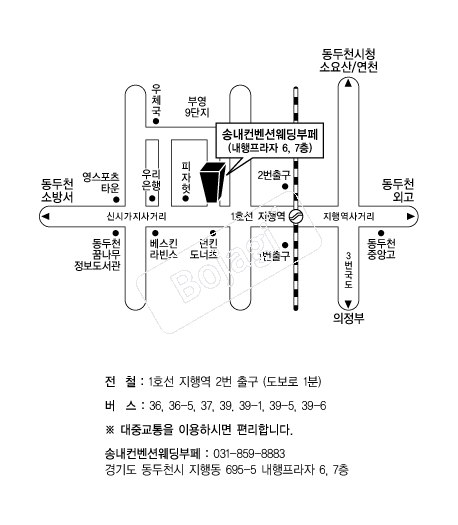 �۳������ǿ��� �൵ ���ڱ� ī�� ûø�� 