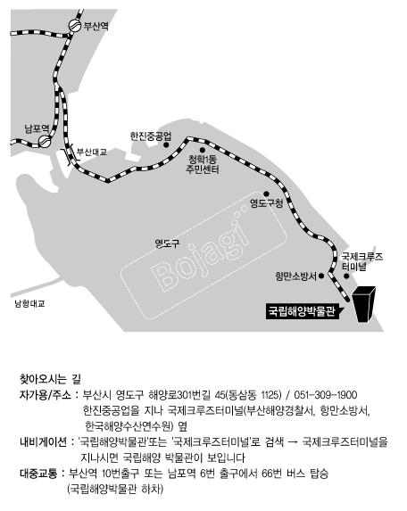 �����ؾ�ڹ��� �൵ ���ڱ� ī�� ûø�� 