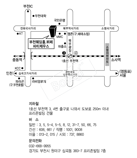  �൵ ���ڱ� ī�� ûø�� 