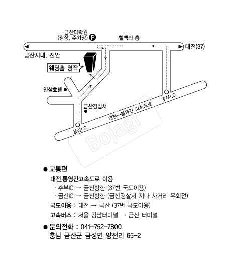 ���ۿ���Ȧ �൵ ���ڱ� ī�� ûø�� 