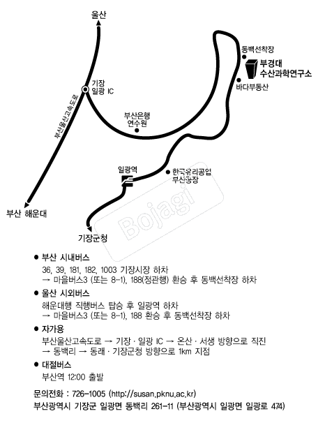  �൵ ���ڱ� ī�� ûø�� 